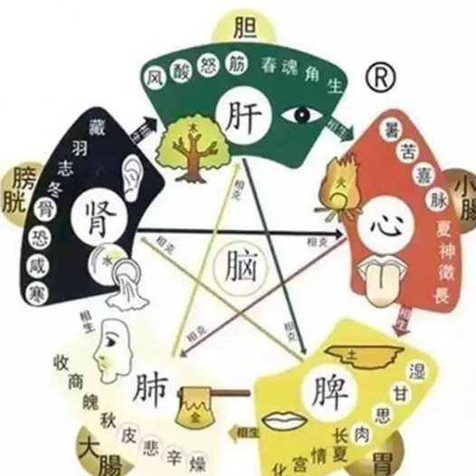 Feng Shui Of Our Body