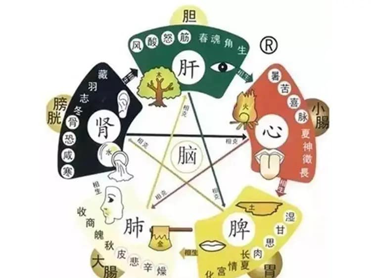 Feng Shui Of Our Body Feng Shui Of Our Body